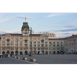 TRIESTE - mostre di LIGABUE e VAN GOGH