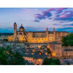 PESARO E URBINO: Tesori Marchigiani dal Medioevo al Rinascimento DOMENICA 8 FEBBRAIO 2026